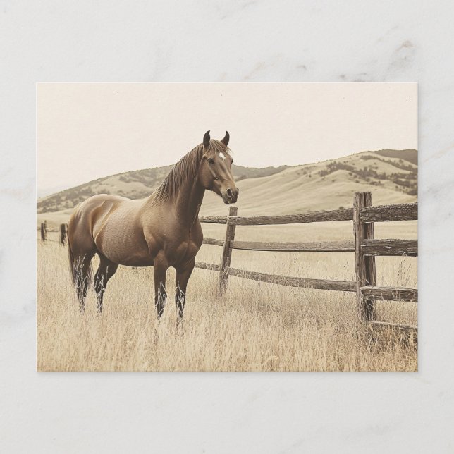 Cartão Postal Cavalo na Vintage Sepia (Frente)