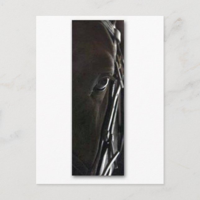Cartão Postal cavalo negro (Frente)