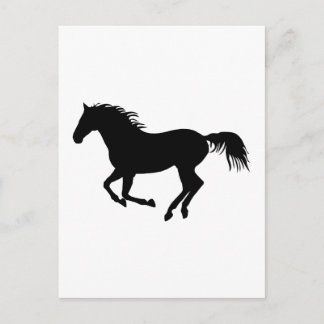Cartão Postal Cavalo negro 1