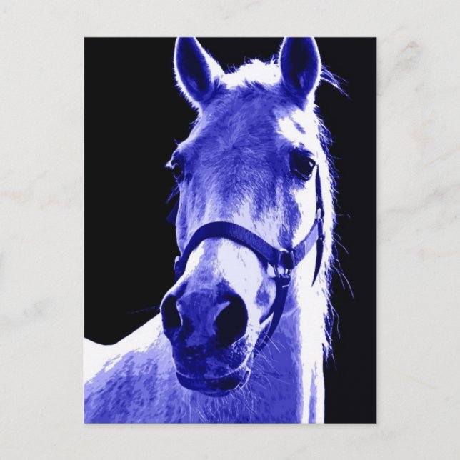 Cartão Postal Cavalo Noturno (Frente)