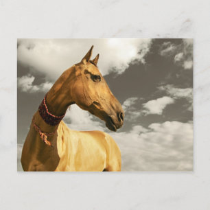 Cartão Postal Cavalo ouro do Turquemenistão