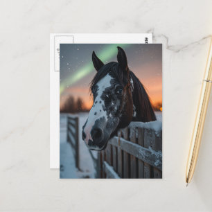 Cartão Postal Cavalo Pintado Luzes do Norte Inverno