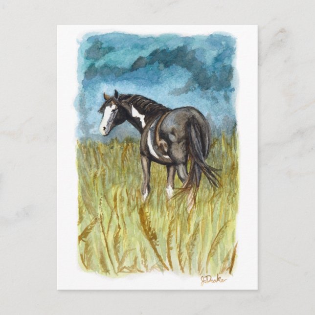 Cartão Postal Cavalo Pintado Preto e Branco Arte em Aquarela (Frente)