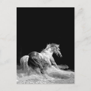 Cartão Postal Cavalo Preto e Branco em Ação