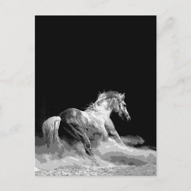 Cartão Postal Cavalo Preto e Branco em Ação (Frente)