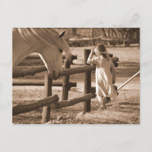 Cartão Postal Cavalo Preto e Branco Sepia e Filho