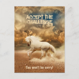 Cartão Postal Cavalo Selvagem Branco Atravessando o Deserto - Co