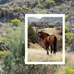 Cartão Postal Cavalo Selvagem, Parque Nacional Theodore Roosevel