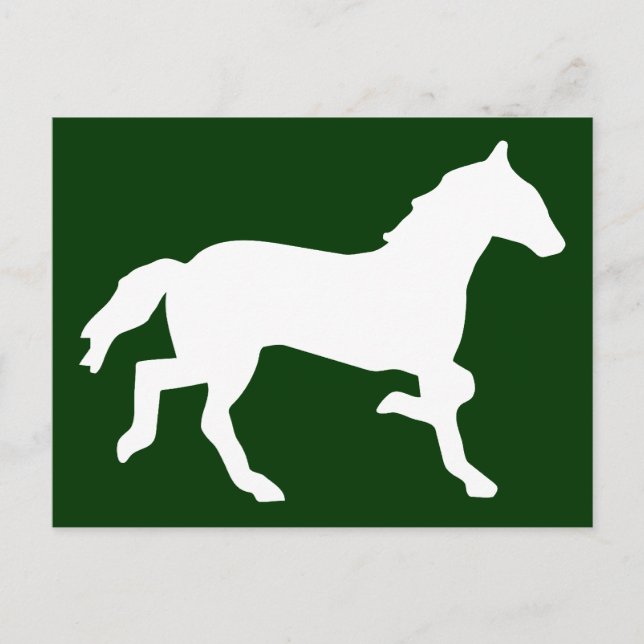 Cartão Postal cavalo simples (Frente)