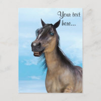 Cavalo Sortudo