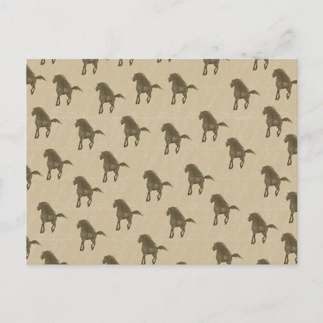 Cartão Postal Cavalos (Frente)