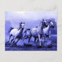 Cavalos a Correr & Luar Azul