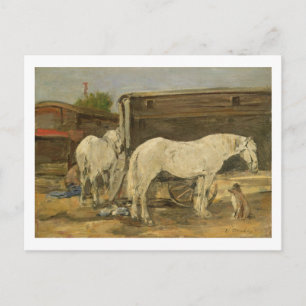Cartão Postal Cavalos ciganos, c.1885-90 (óleo na canvas)