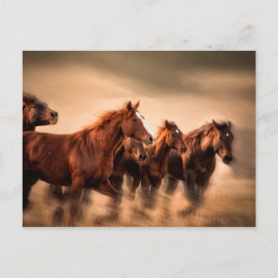 Cartão Postal Cavalos correndo, borrão e crinas voando