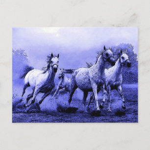 Cartão Postal Cavalos correndo e luz azul