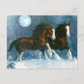 Cartão Postal Cavalos Correndo Na Neve