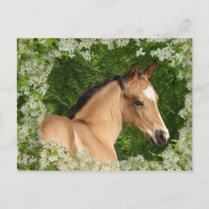 Cartão Postal Cavalos da fantasia: Flores