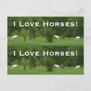 Cartão Postal Cavalos de Amor! Marcadores - Personalizar!