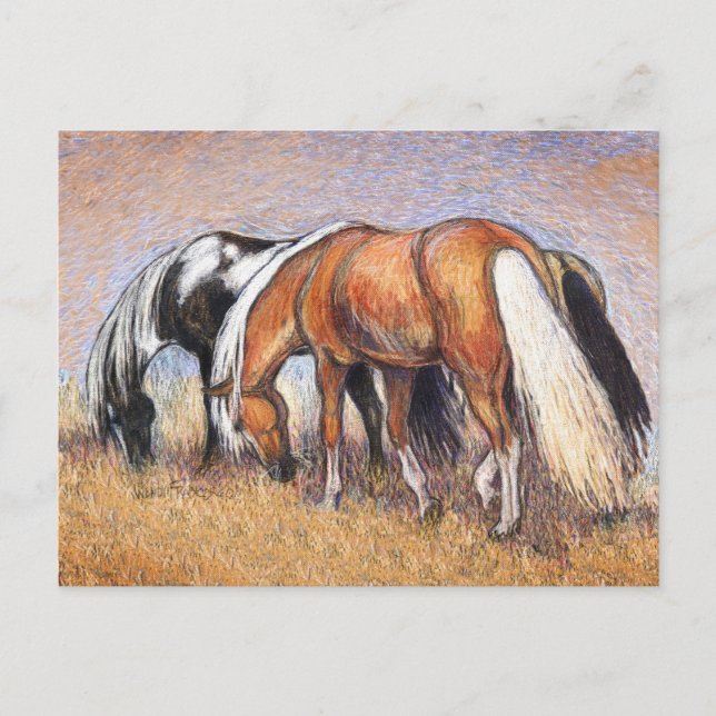 Cartão Postal Cavalos de Cruzamento (Frente)
