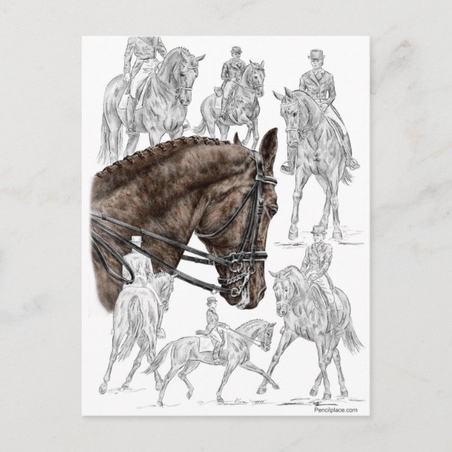 Cartão Postal Cavalos de Dressagem Coletados FEI (Frente)