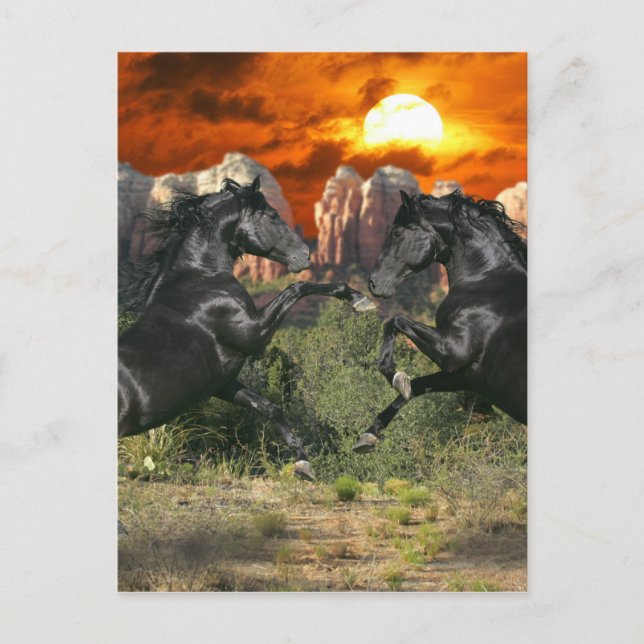 Cartão Postal Cavalos de Fantasia: Magia Negra (Frente)