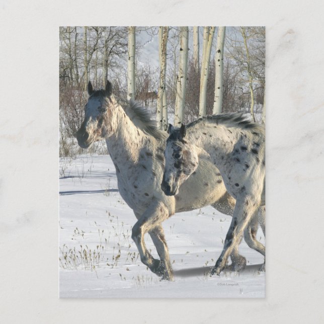 Cartão Postal Cavalos de Fantasia: Paraíso Invernal (Frente)