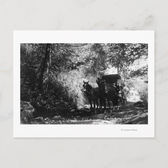 Cartão Postal Cavalos de Frete que Tomam uma Pausa (Frente)