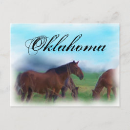Cartão Postal Cavalos de Oklahoma