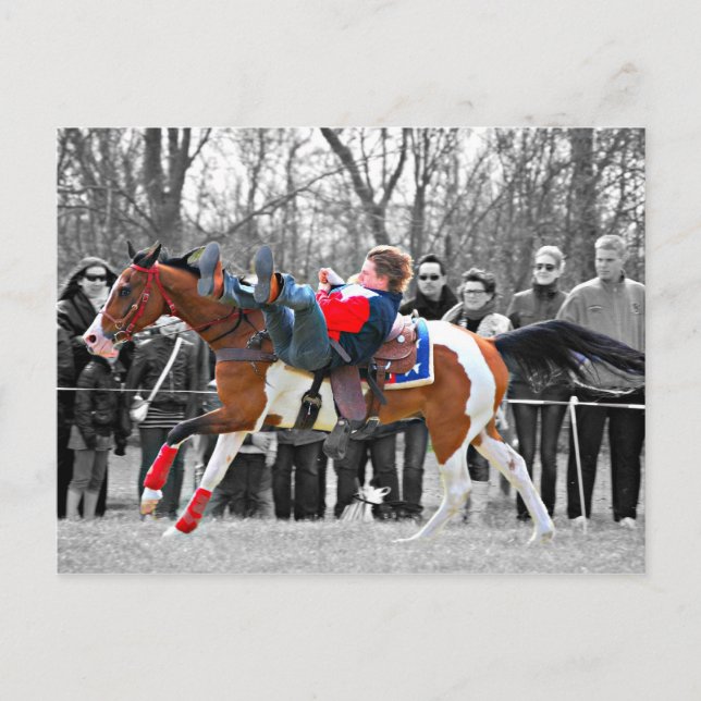 Cartão Postal Cavalos de Show (Frente)