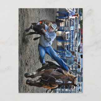 Cartão Postal Cavalos de Torção