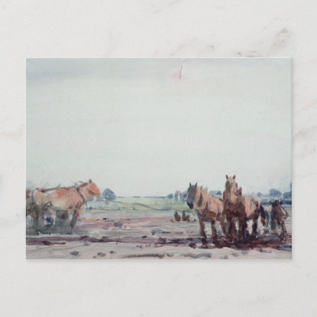 Cartão Postal Cavalos de Voo (Frente)