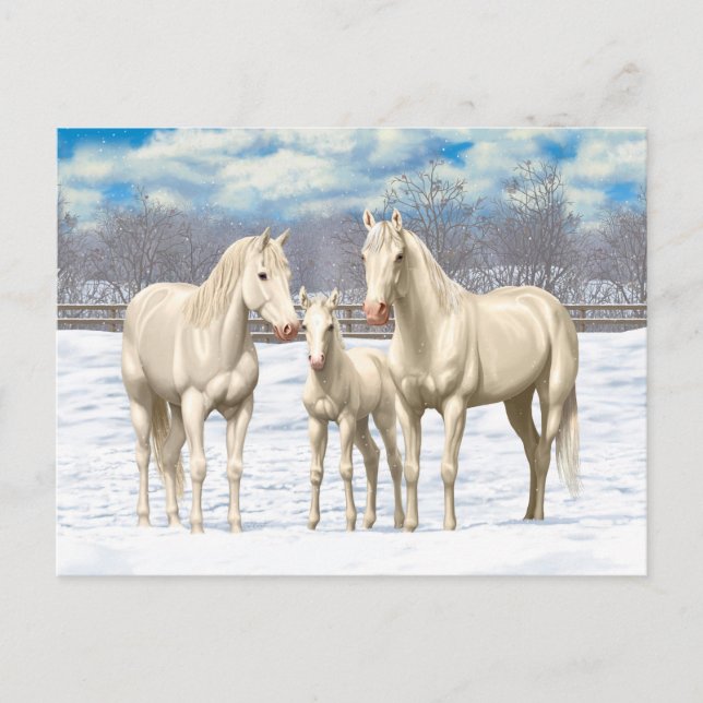 Cartão Postal Cavalos Do Quarto Branco Na Neve (Frente)
