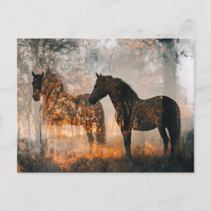 Cartão Postal Cavalos Dupla Exposição