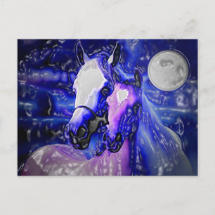 Cartão Postal Cavalos e Noite