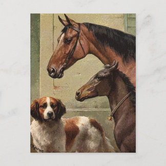 Cartão Postal Cavalos e Ruas Bernard Vintage Art
