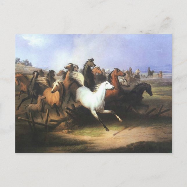 Cartão Postal Cavalos em Execução de Arte Clássica (Frente)