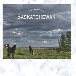 Cartão Postal Cavalos em Mortlach Saskatchewan Canadá