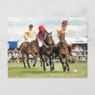 CARTÃO POSTAL CAVALOS ESPORTIVOS