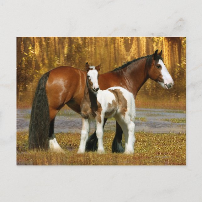 Cartão Postal Cavalos Fantásticos: Mare & Foal (Frente)