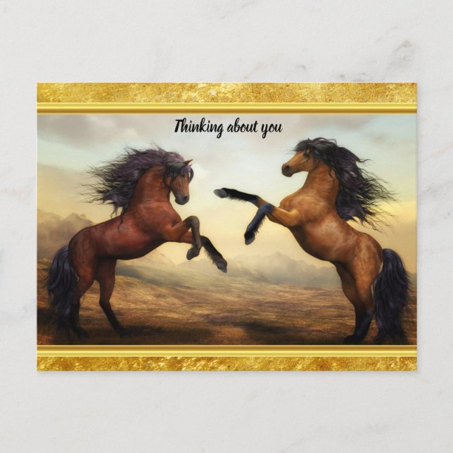 Cartão Postal Cavalos Frísia Rascunhos em um vale de montanha ro (Frente)