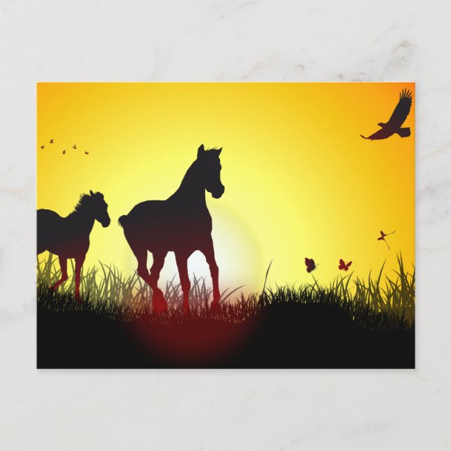 Cartão Postal cavalos matinais (Frente)