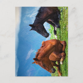 Cartão Postal Cavalos Moody Mountain: Uma Viagem de Arte Refinad