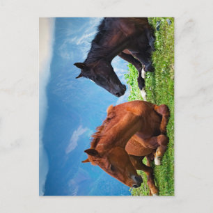 Cartão Postal Cavalos Moody Mountain: Uma Viagem de Arte Refinad