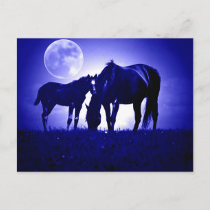 Cartão Postal Cavalos na Noite Azul