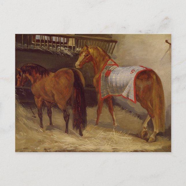 Cartão Postal Cavalos nas Estrebarias (Frente)
