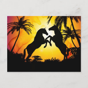 Cartão Postal Cavalos negros