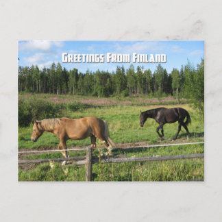 Cartão Postal Cavalos no campo finlandês