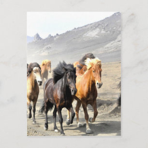 Cartão Postal Cavalos que se movem para o sucesso