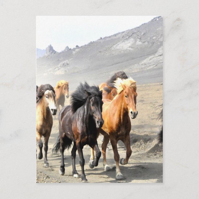 Cartão Postal Cavalos que se movem para o sucesso (Frente)