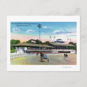 Cartão Postal Cavalos que se preparam para a manhã